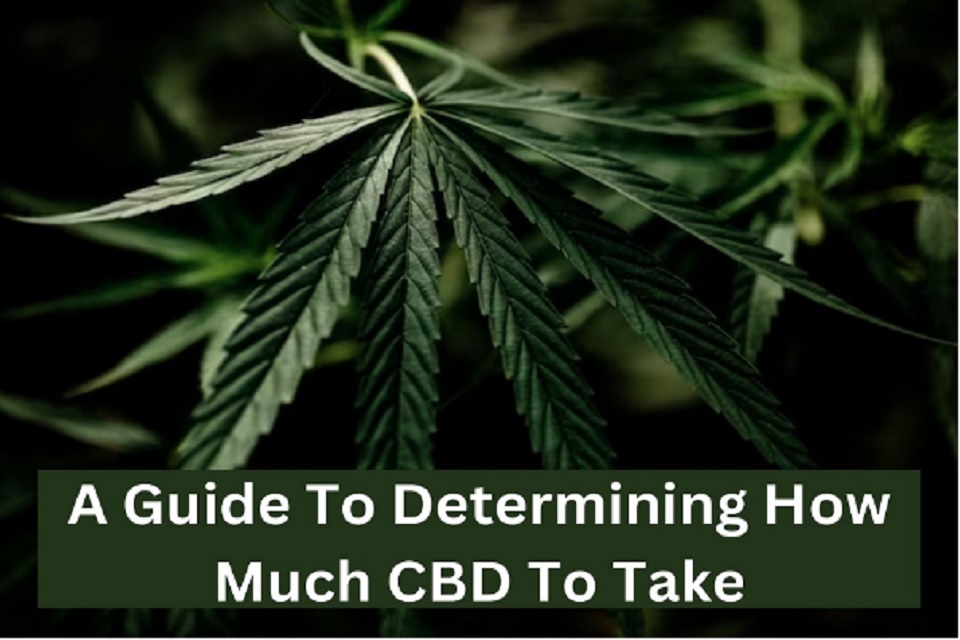 A Practical Guide to CBD Consumption