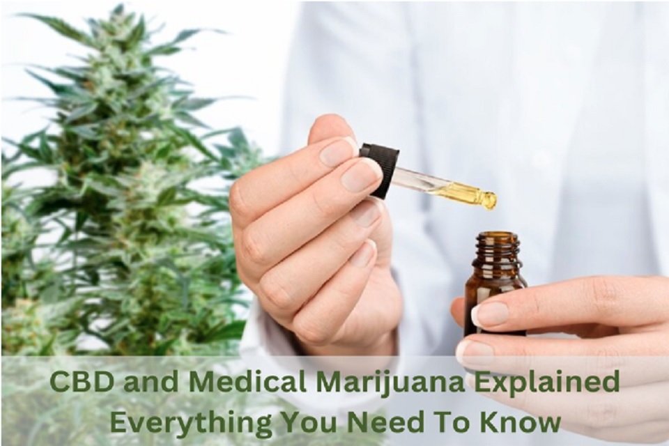 CBD and Medical Marijuana Explained Everything You Need To Know