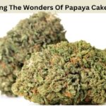 papaya cake strain
