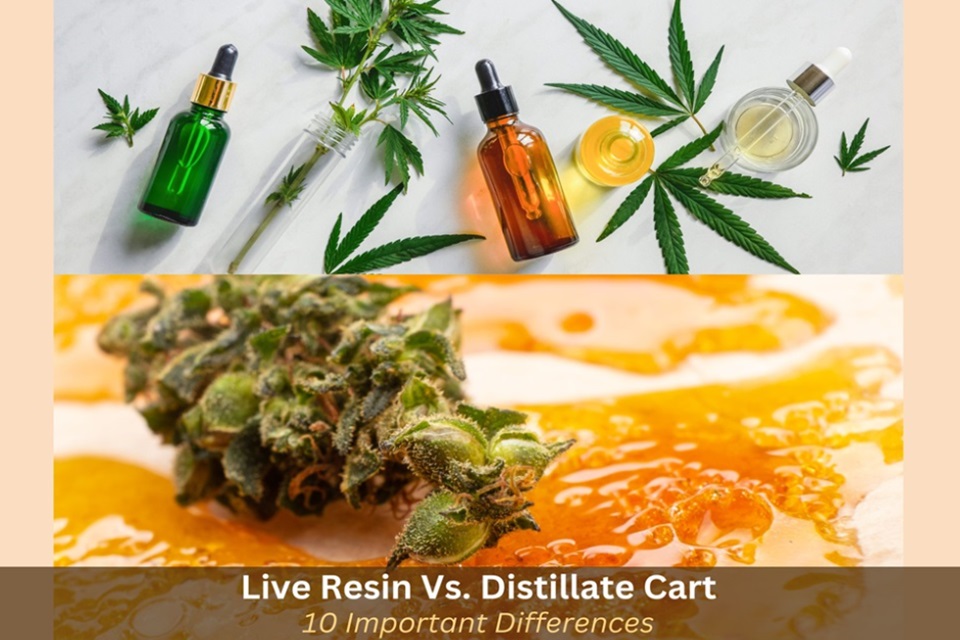 Live Resin Vs. Distillate Cart Debate