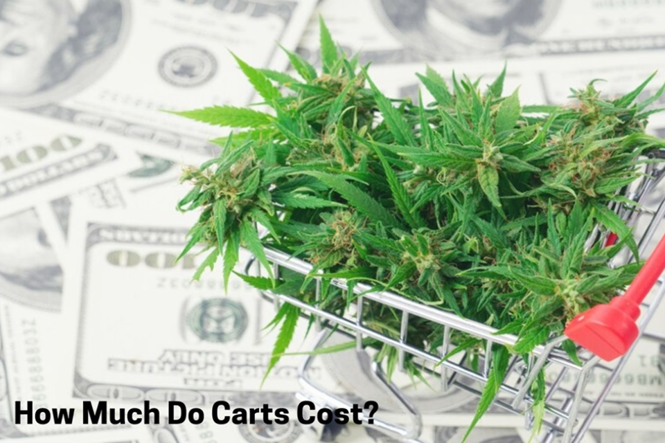 How Much Do Carts Cost