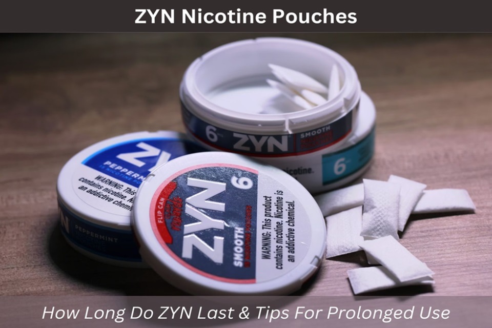 ZYN Nicotine Pouches